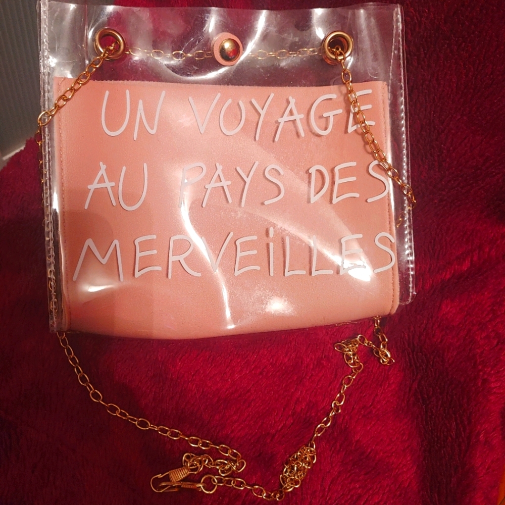Trendy Clear and Blush French Purse 👛